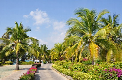 猪圈火锅食材超市