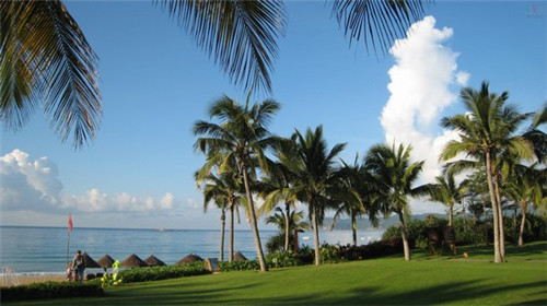 新米多多铁板炒饭