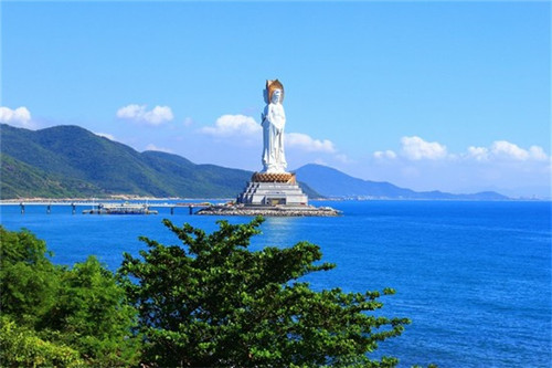 碳化木原木哪个好