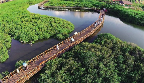 曲靖市瘦瘦靴加盟投资创业哪家项目有优势