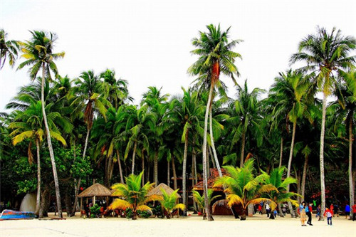 昭通市开店2025眼唇卸妆液加盟店哪些项目好