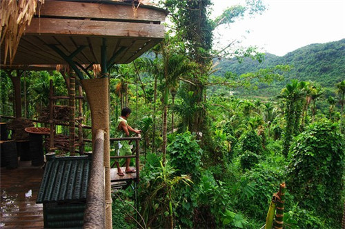 嘉州鸡翅加盟，嘉州百味鸡加盟费多少