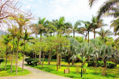 回锅肉怎么炒才不会糊底（回锅肉怎么炒才嫩）